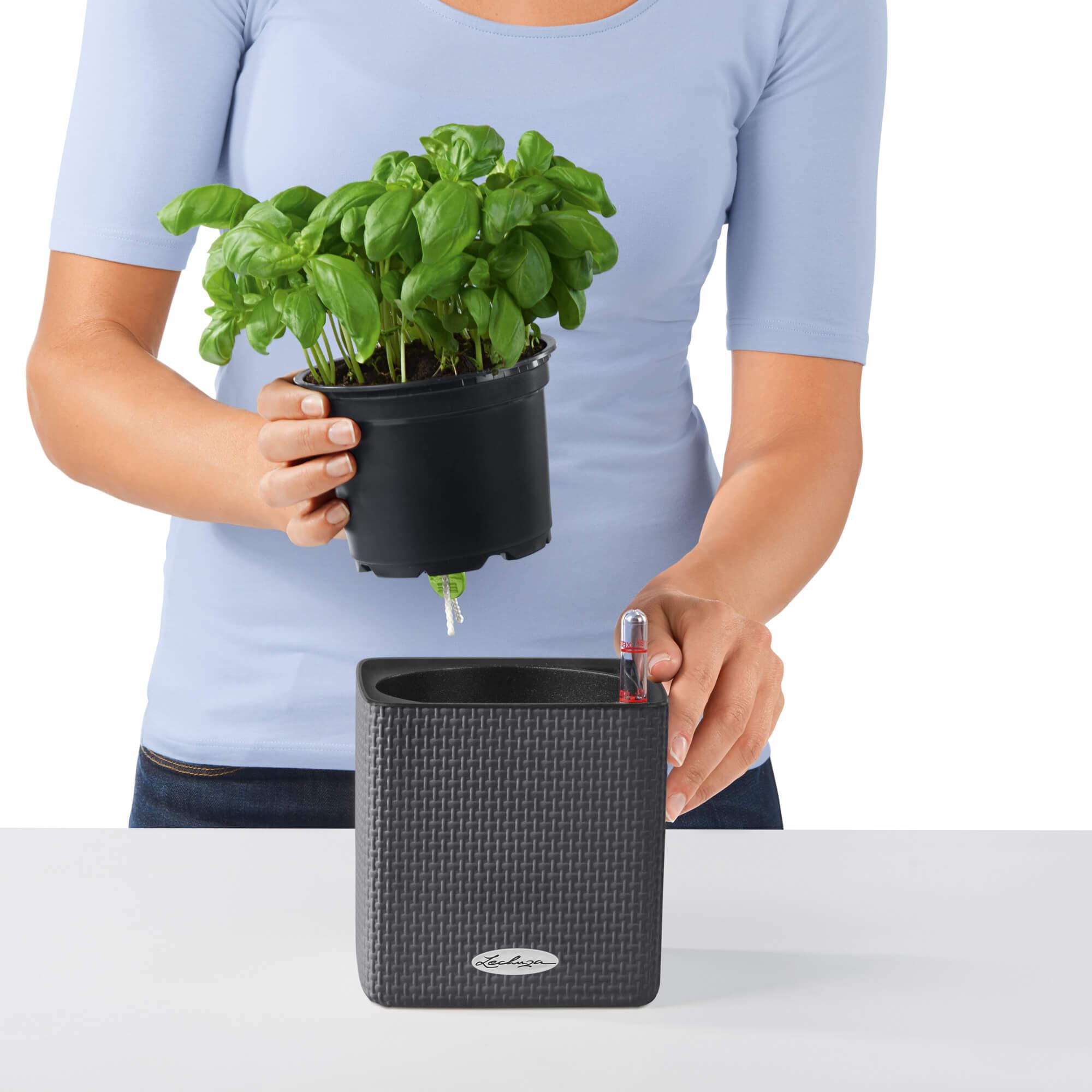 le_cube-color_product_addi_03